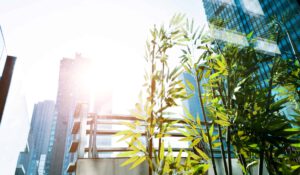 VoIP: A Sustainable Environment Communication Solution