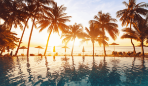 a blue tiled infinity pool looking over a beach with people in lounge chairs, the ocean, and palm trees during the sunset
